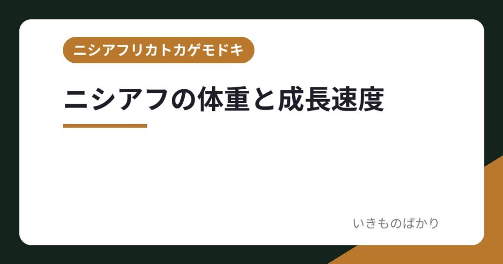 ニシアフの体重と成長速度