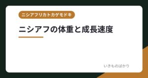 ニシアフの体重と成長速度