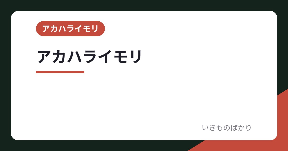 アカハライモリの飼い方 完全ガイドを読む