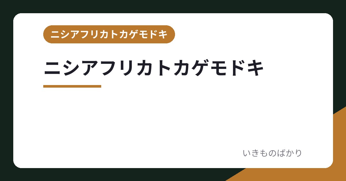 ニシアフリカトカゲモドキの飼い方を読む