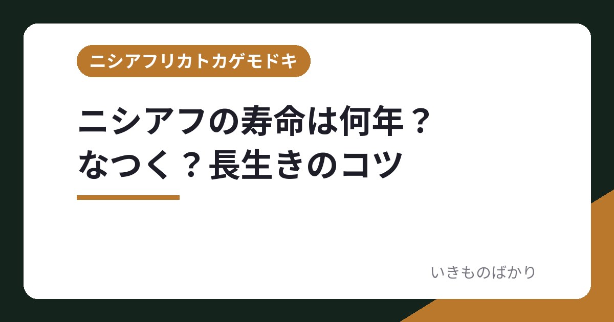 ニシアフの寿命は何年？　　　なつく？長生きのコツ