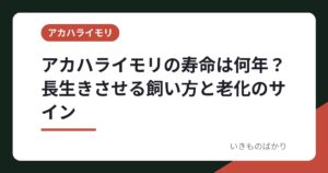 アカハライモリの寿命は何年？長生きさせる飼い方と老化のサイン