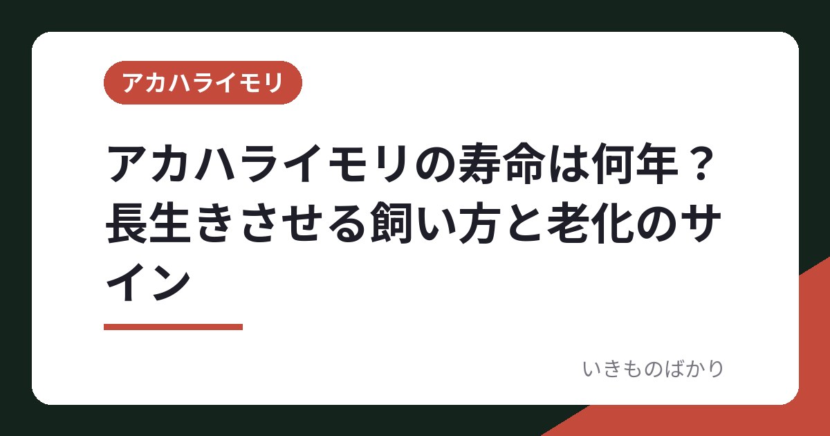 アカハライモリの寿命は何年？長生きさせる飼い方と老化のサイン