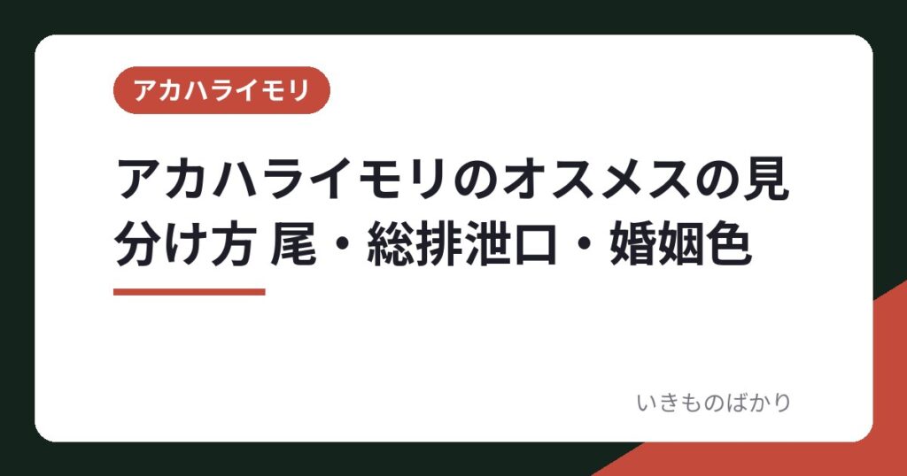 アカハライモリのオスメスの見分け方 尾・総排泄口・婚姻色