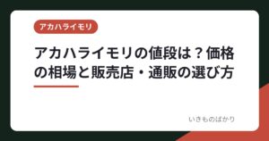 アカハライモリの値段は？価格の相場と販売店・通販の選び方