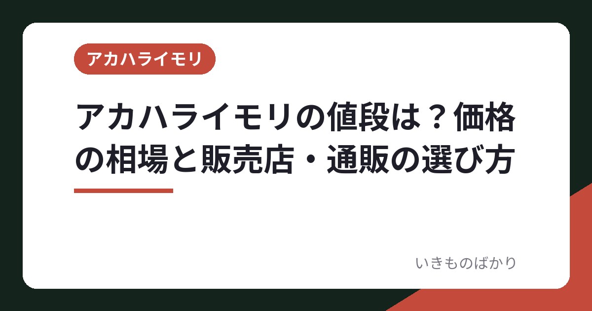 アカハライモリの値段は？価格の相場と販売店・通販の選び方