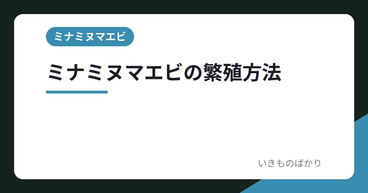 ミナミヌマエビの繁殖方法