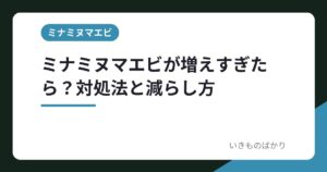 ミナミヌマエビが増えすぎたら？対処法と減らし方
