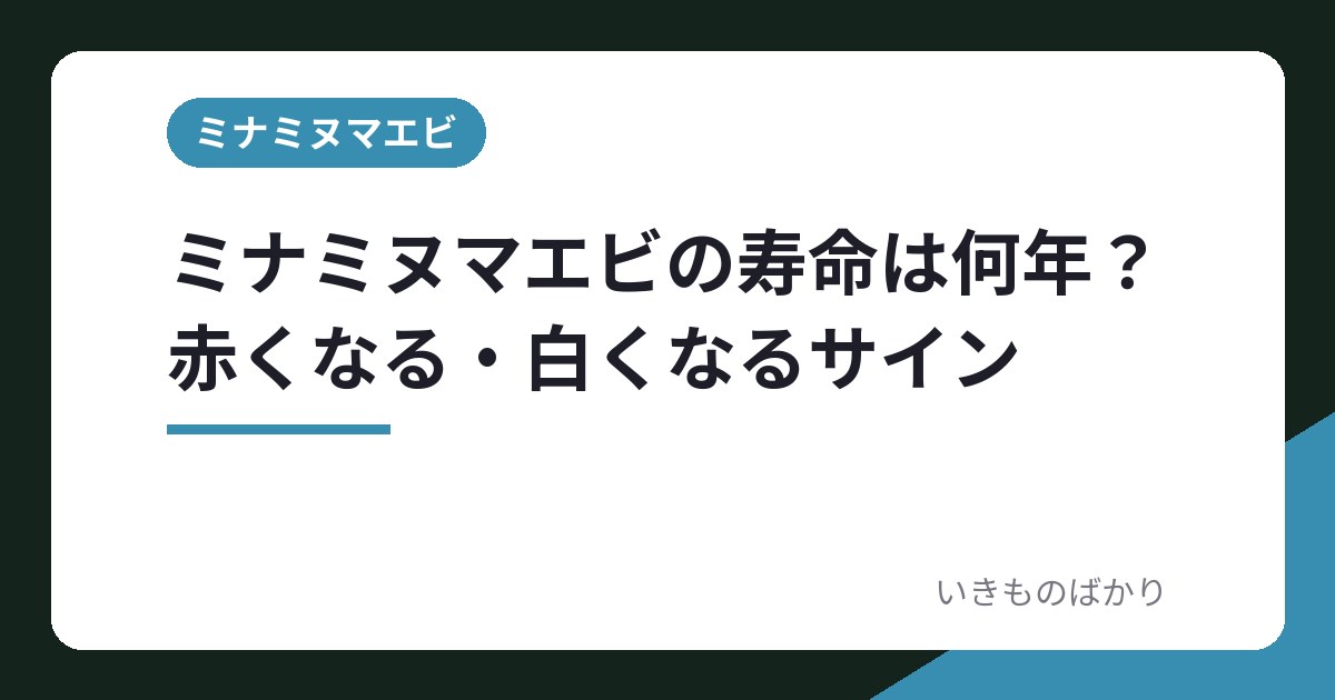 ミナミヌマエビの寿命は何年？赤くなる・白くなるサイン