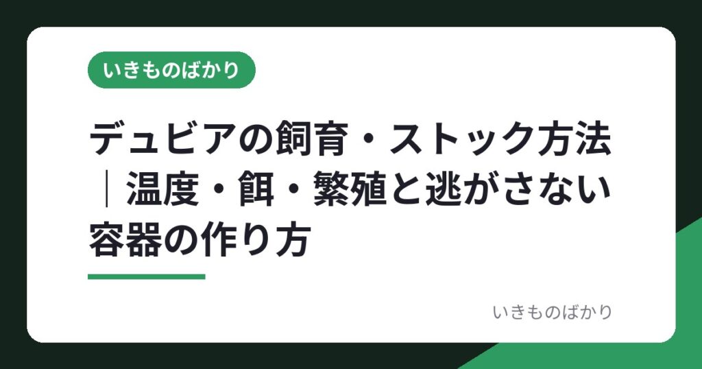 デュビアの飼育・ストック方法｜温度・餌・繁殖と逃がさない容器の作り方