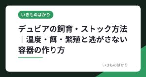 デュビアの飼育・ストック方法｜温度・餌・繁殖と逃がさない容器の作り方