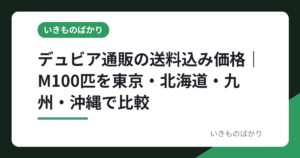 デュビア通販の送料込み価格｜M100匹を東京・北海道・九州・沖縄で比較