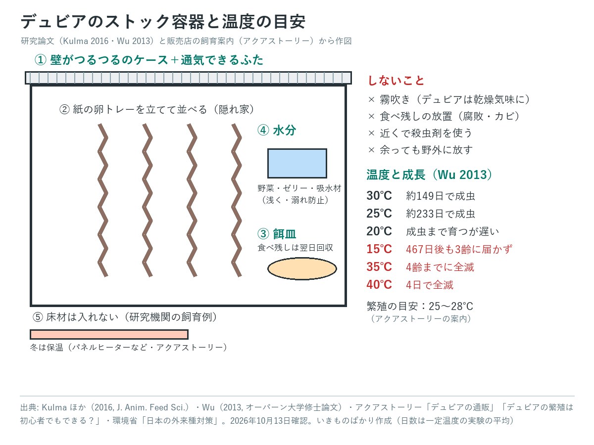 デュビアのストック容器の図解。壁がつるつるのケースに通気できるふた、紙の卵トレーを立てて並べ、浅い水分の皿と餌皿を置き、床材は入れない。しないことは霧吹き・食べ残しの放置・近くでの殺虫剤・野外に放すこと。温度と成長は30℃で約149日、25℃で約233日で成虫、15℃では467日後も3齢に届かず、35℃では4齢までに全滅、40℃では4日で全滅