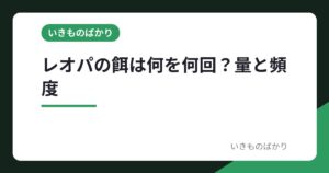 レオパの餌は何を何回？コオロギ・人工フードの量と頻度を資料で比較