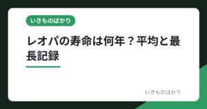 レオパの寿命は何年？平均10〜20年、最長記録と長生きするための条件