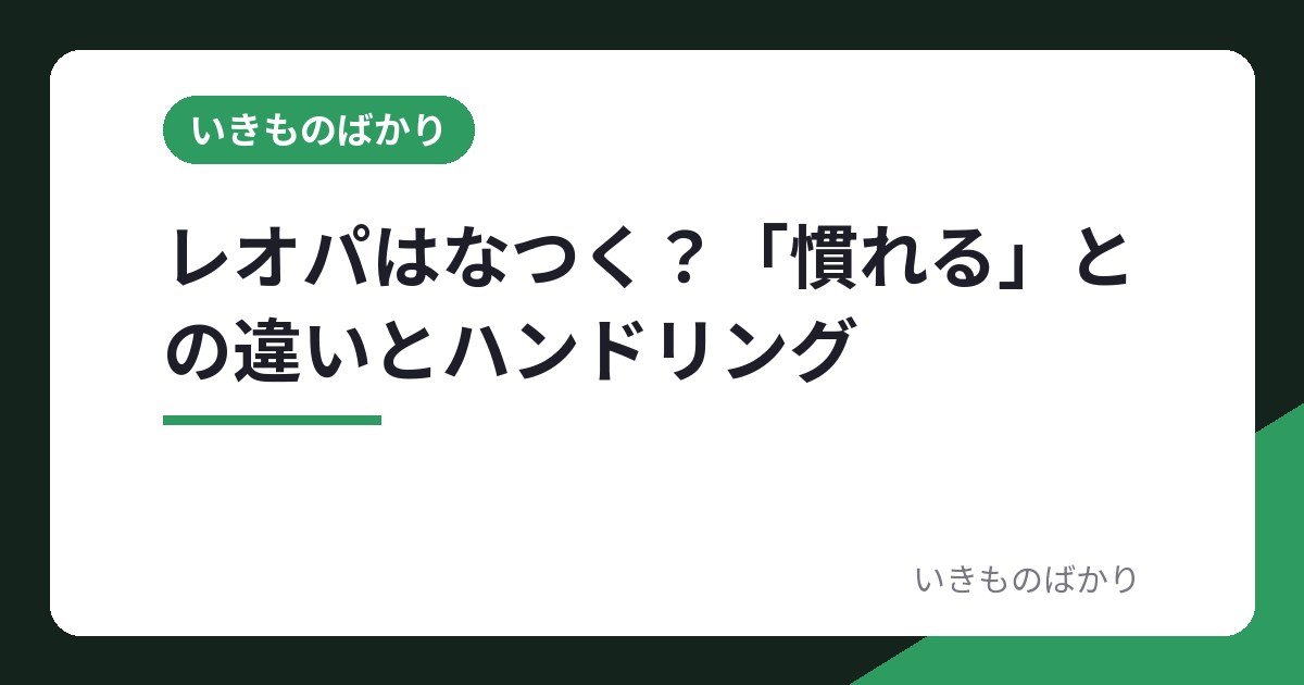 レオパはなつく？「慣れる」との違いとハンドリングの進め方