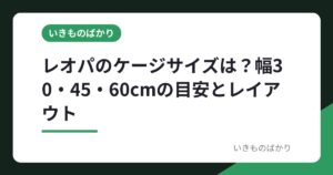 レオパのケージサイズは？幅30・45・60cmの目安とレイアウト