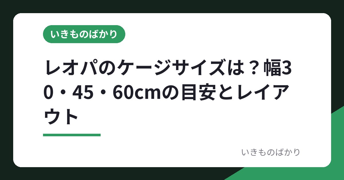 レオパのケージサイズは？幅30・45・60cmの目安とレイアウト