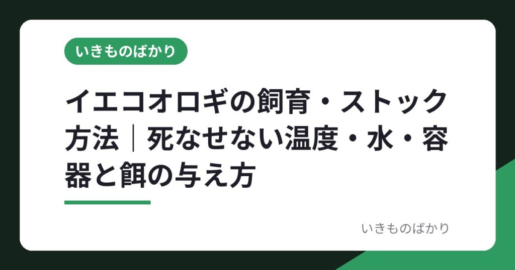 イエコオロギの飼育・ストック方法｜死なせない温度・水・容器と餌の与え方