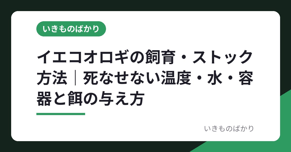 イエコオロギの飼育・ストック方法｜死なせない温度・水・容器と餌の与え方