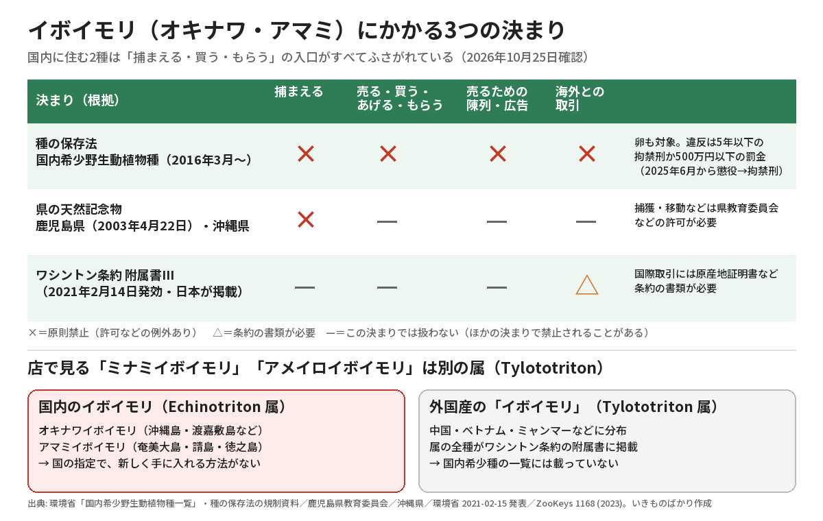 イボイモリにかかる種の保存法・県の天然記念物・ワシントン条約附属書Ⅲの3つの決まりと、外国産のTylototriton属との違いの図