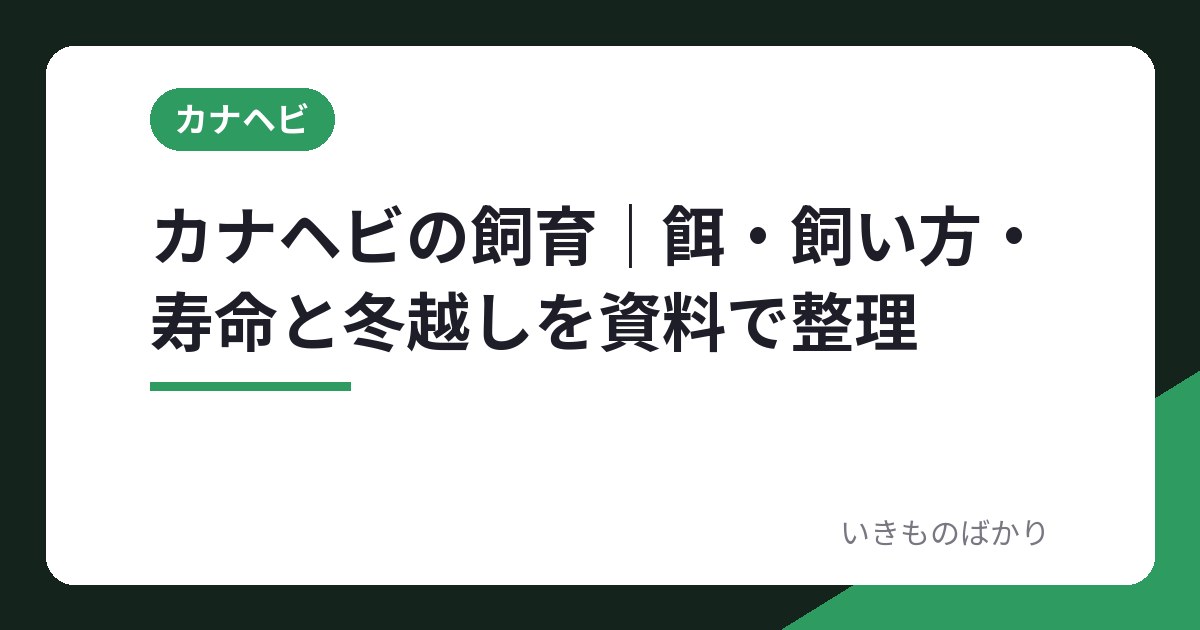 カナヘビの飼育｜餌・飼い方・寿命と冬越しを資料で整理