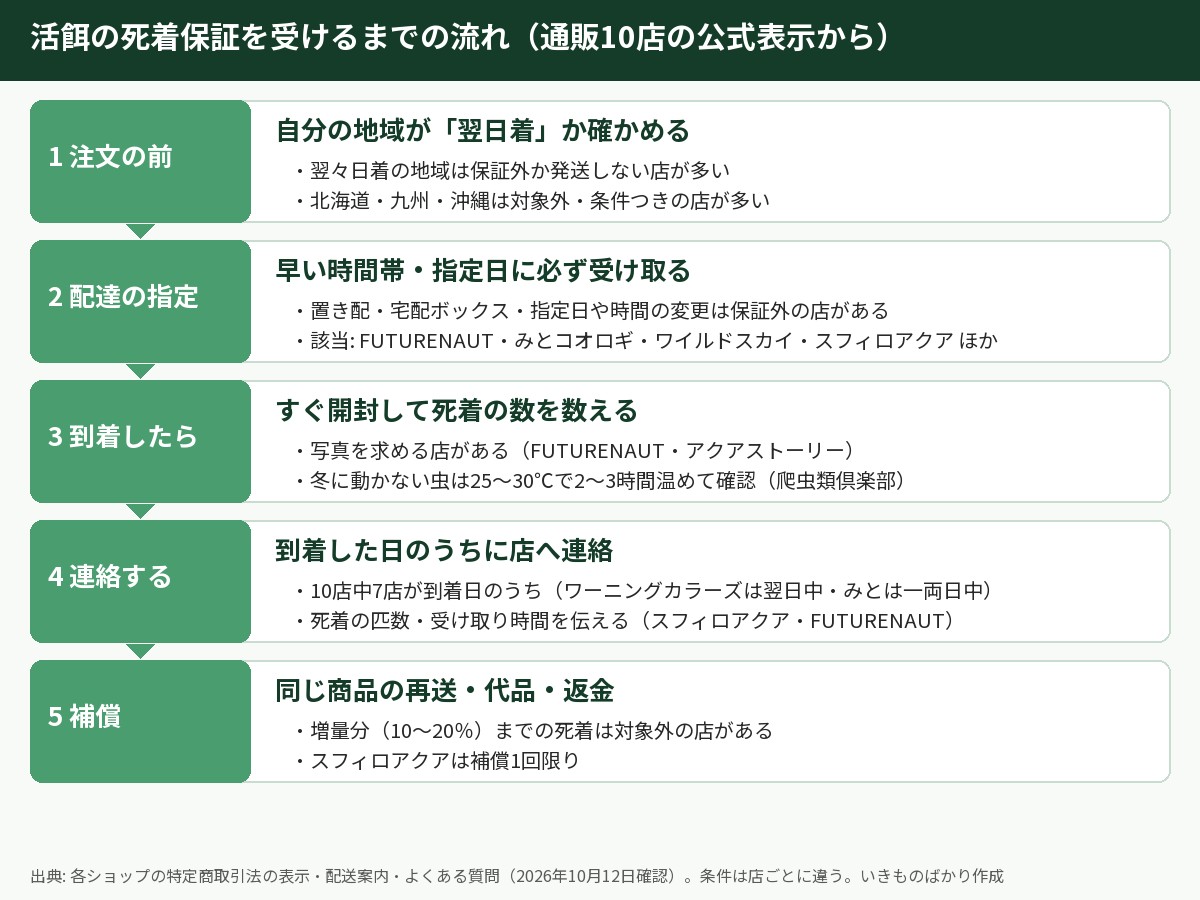 活餌の死着保証を受けるまでの流れの図解。1 注文の前に自分の地域が翌日着か確かめる、2 早い時間帯と指定日に必ず受け取る（置き配・宅配ボックス・指定日の変更は保証外の店がある）、3 到着したらすぐ開封して死着の数を数える、4 到着した日のうちに店へ連絡する（10店中7店が到着日のうち）、5 同じ商品の再送・代品・返金（増量分までの死着は対象外の店がある）