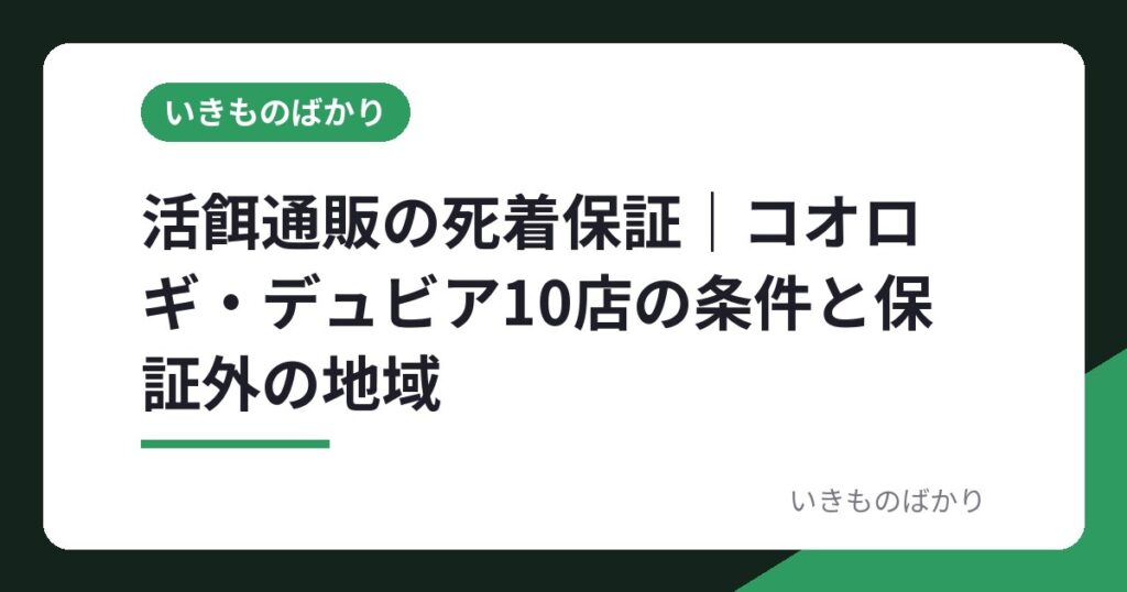 活餌通販の死着保証｜コオロギ・デュビア10店の条件と保証外の地域