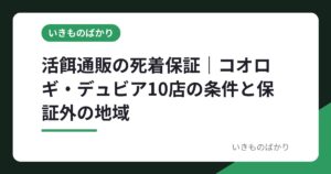 活餌通販の死着保証｜コオロギ・デュビア10店の条件と保証外の地域