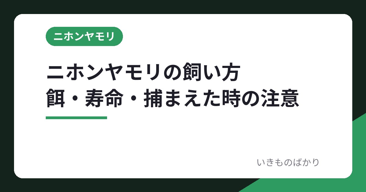 ニホンヤモリの飼育｜餌の種類と回数・寿命・捕まえた時の注意