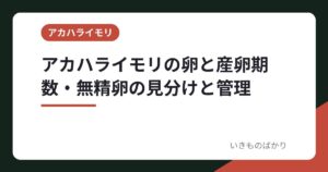 アカハライモリの卵と産卵期・数・無精卵の見分けと管理