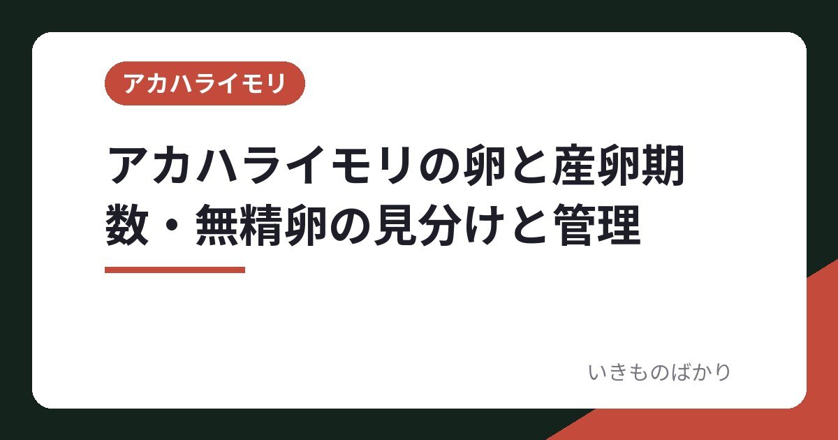 アカハライモリの卵と産卵期・数・無精卵の見分けと管理