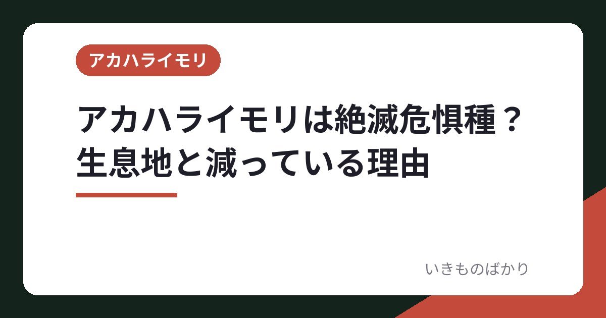 アカハライモリは絶滅危惧種？生息地と減っている理由