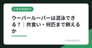 ウーパールーパーは混泳できる？｜共食い・何匹まで飼えるか