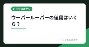 ウーパールーパーの値段はいくら？