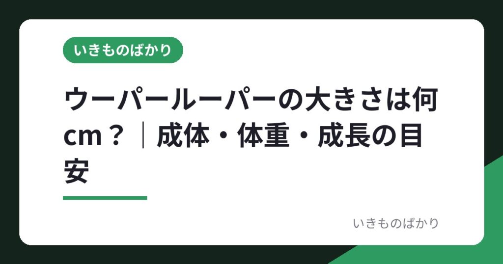 ウーパールーパーの大きさは何cm？｜成体・体重・成長の目安