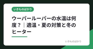 ウーパールーパーの水温は何度？｜適温・夏の対策と冬のヒーター