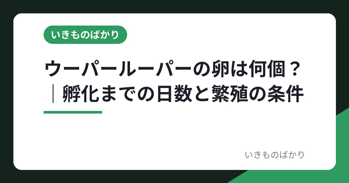 ウーパールーパーの卵は何個？｜孵化までの日数と繁殖の条件