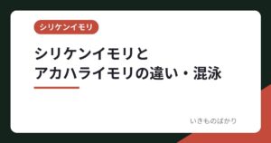 シリケンイモリとアカハライモリの違い・混泳