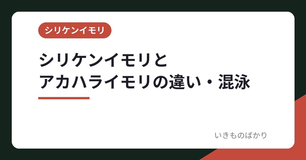 シリケンイモリとアカハライモリの違い・混泳