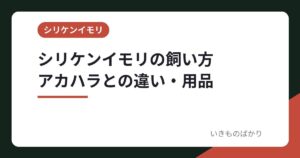 シリケンイモリの飼い方とアカハライモリとの違い・必要なもの