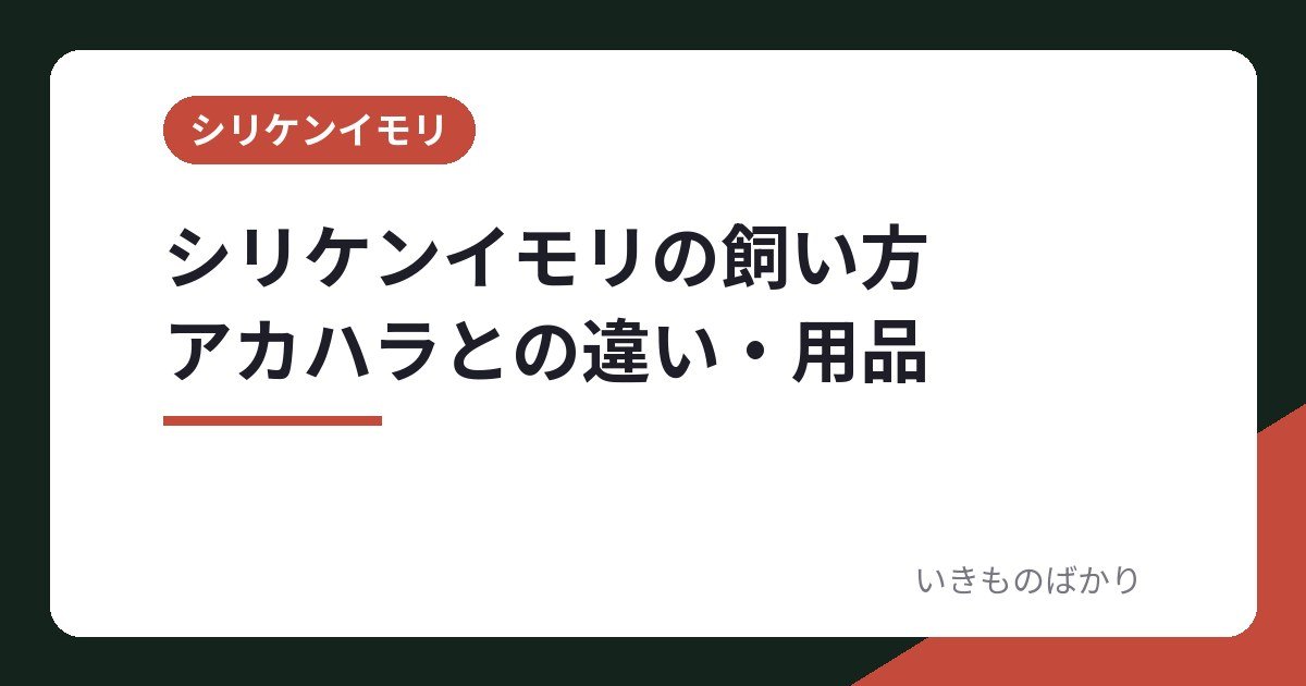 シリケンイモリの飼い方とアカハライモリとの違い・必要なもの