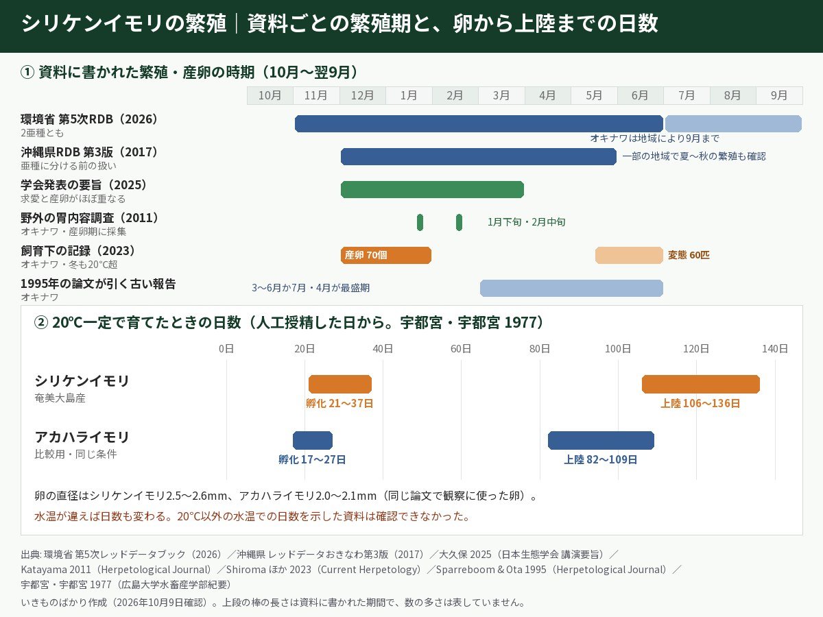 シリケンイモリの繁殖の図解。上段は資料ごとの繁殖期のカレンダーで、環境省は11月から6月（オキナワは地域により9月まで）、沖縄県は12月から5月、学会の講演要旨は12月から3月、野外の調査は1月下旬と2月中旬、飼育下の記録は12月から1月に産卵70個で5月中旬から6月に変態60匹、1995年の論文が引く古い報告は3月から6月か7月。下段は20℃一定での日数で、シリケンイモリは孵化21から37日・上陸106から136日、アカハライモリは孵化17から27日・上陸82から109日