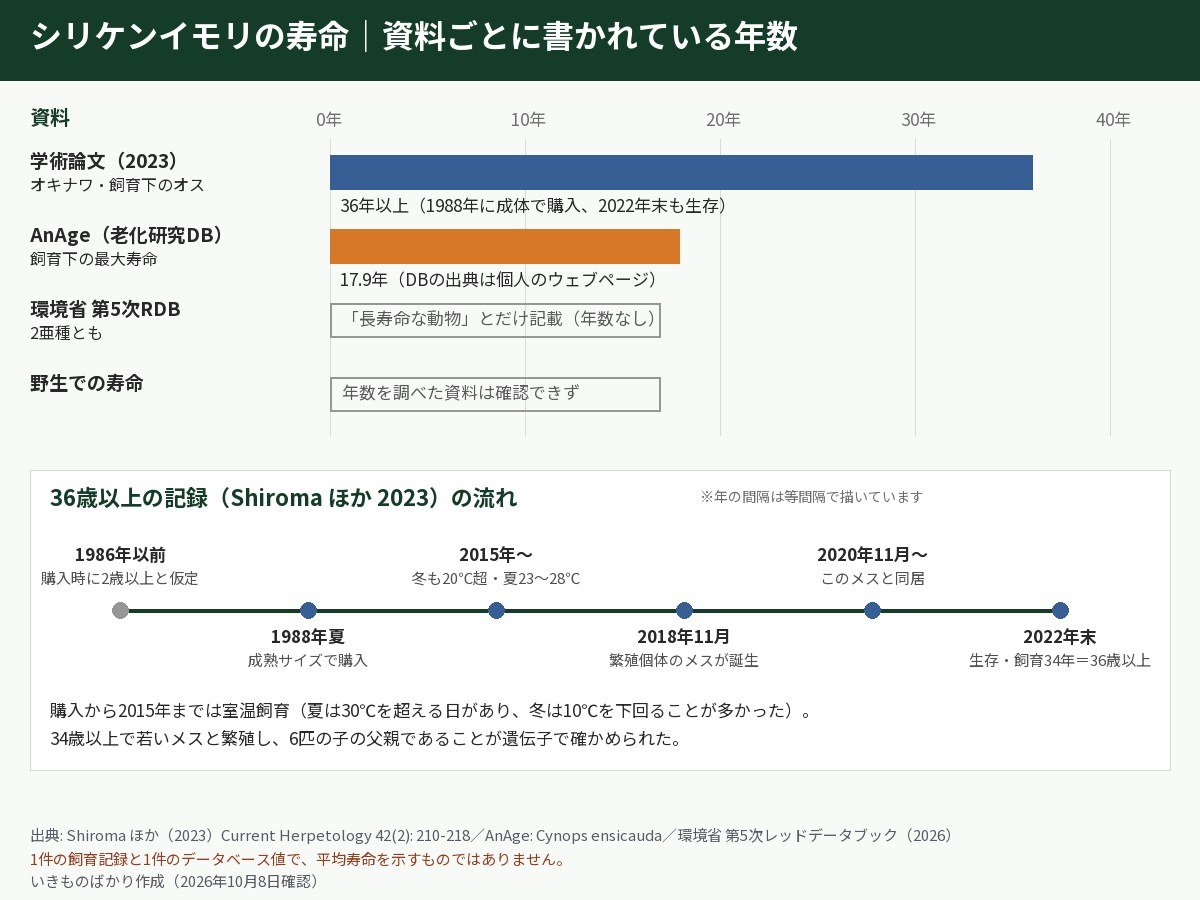 シリケンイモリの寿命を資料ごとに比べた図解。学術論文（2023年）はオキナワシリケンイモリの飼育下のオスで36年以上、老化研究データベースAnAgeは飼育下の最大寿命17.9年、環境省 第5次レッドデータブックは長寿命な動物とだけ記載、野生での寿命は資料なし。下段は36歳以上の記録の流れで、1986年以前に誕生と推定、1988年夏に成熟サイズで購入、2015年から冬も20℃超・夏23〜28℃で飼育、2018年11月に繁殖個体のメスが誕生、2020年11月から同居、2022年末に生存で36歳以上